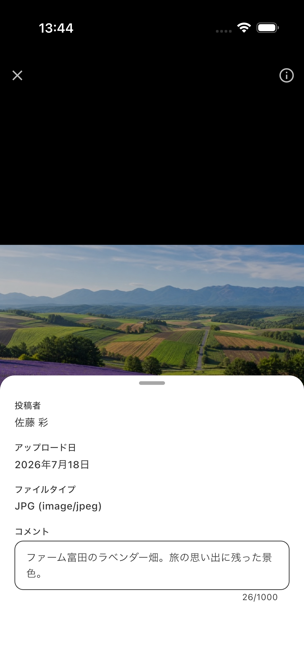 뷰어를 위로 스와이프하면 파일 정보와 댓글이 표시됩니다. 직접 추가한 파일의 댓글은 그 자리에서 수정할 수 있습니다.