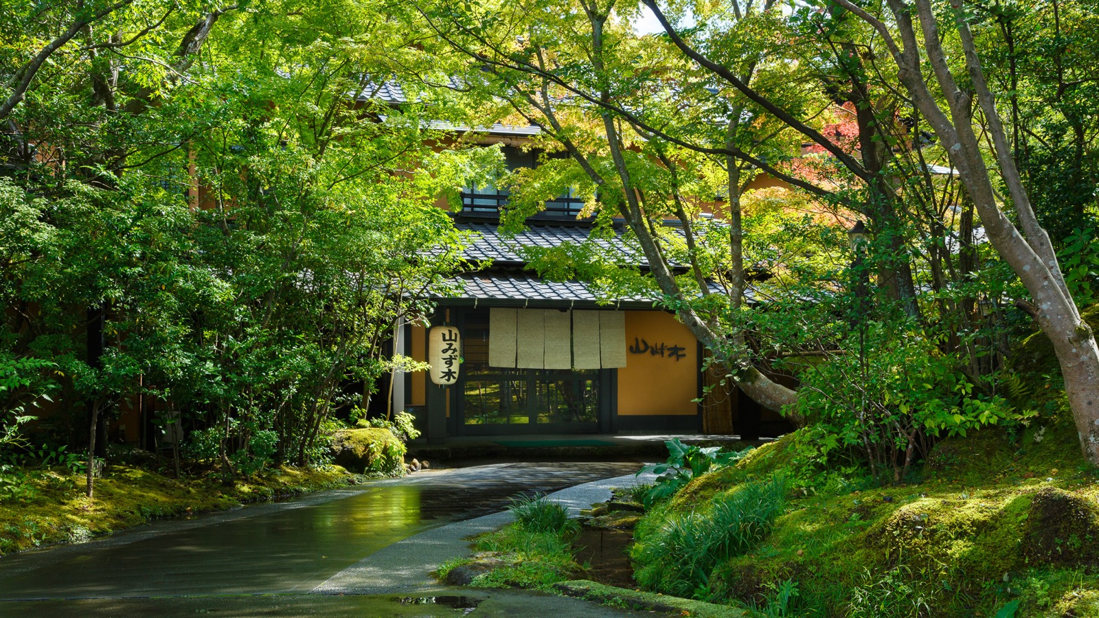 木立に囲まれた黒川温泉 山みず木の建物
