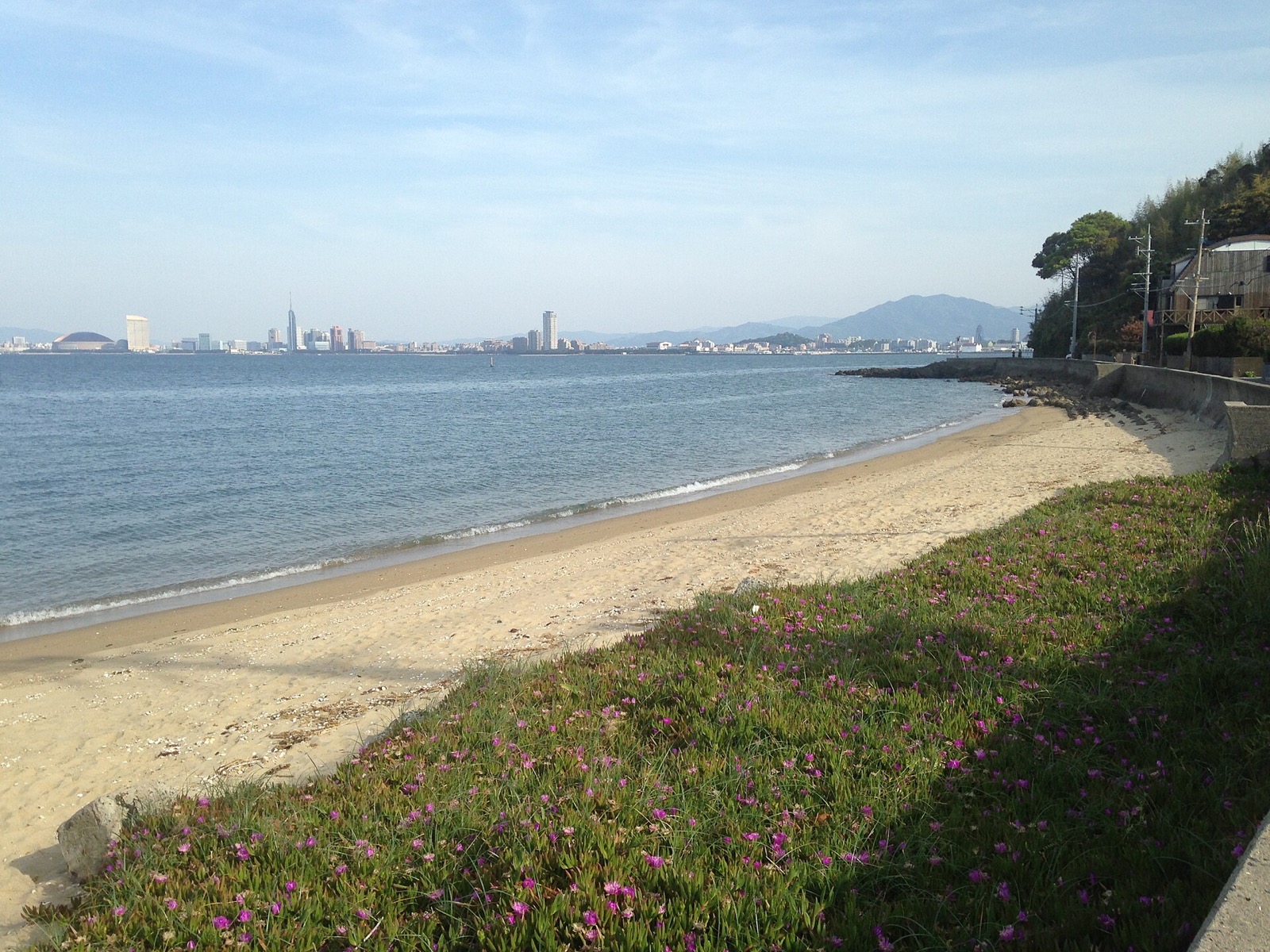 能古島の穏やかな浜辺と青い海