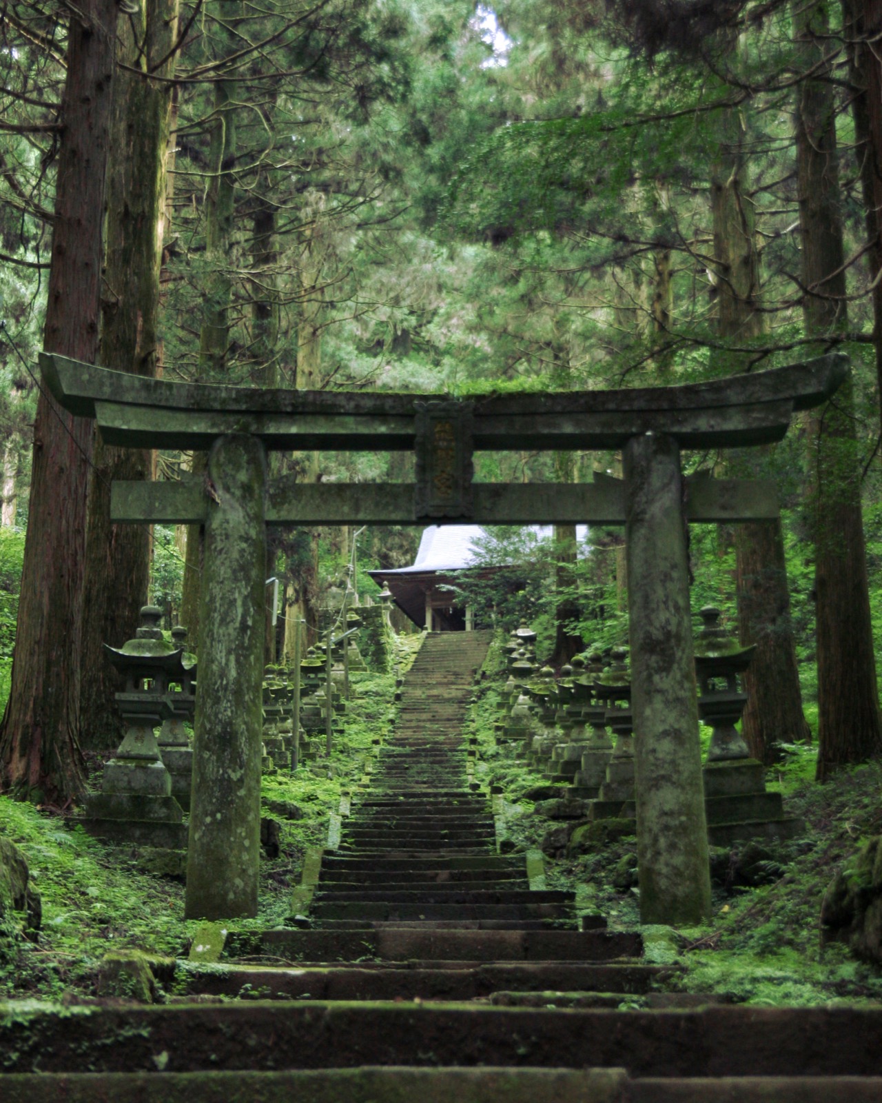 苔むした石灯籠が並ぶ上色見熊野座神社の参道