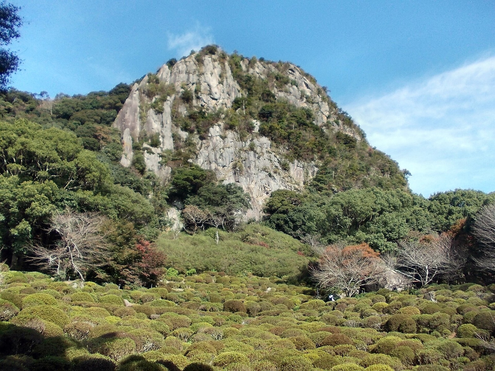 御船山を背景にした池と緑の庭園